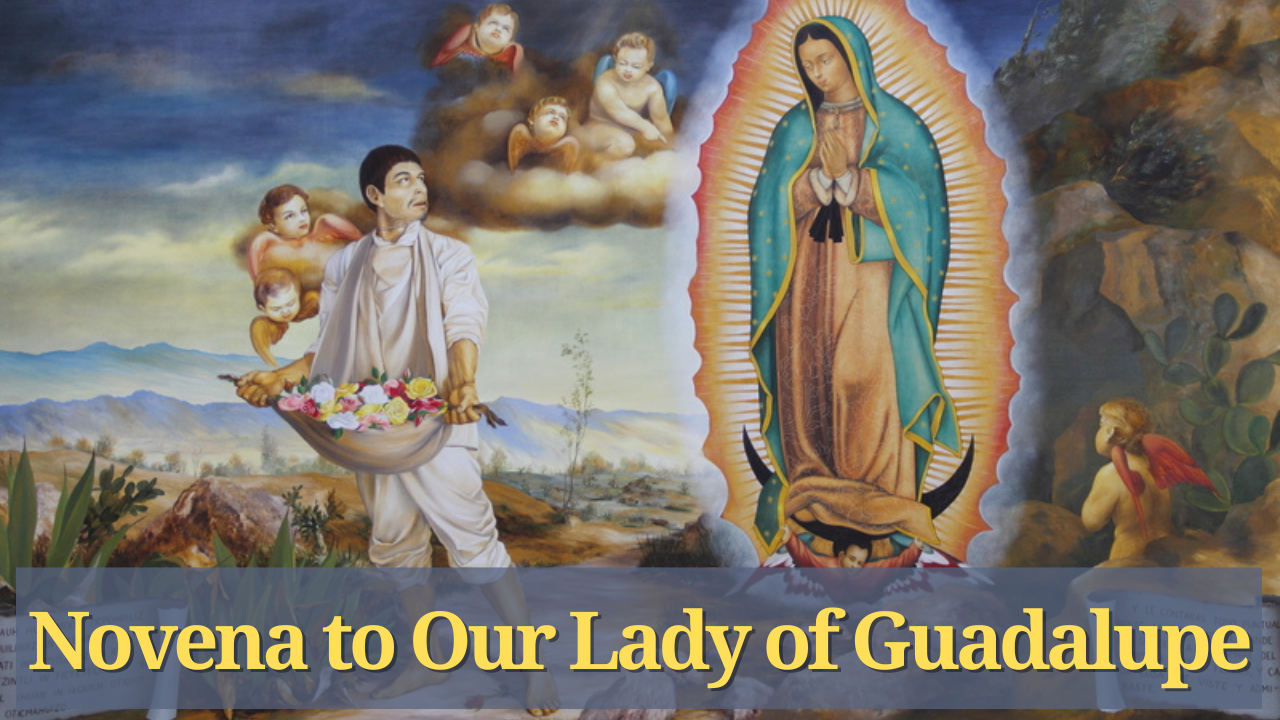 novena alla madonna di guadalupe