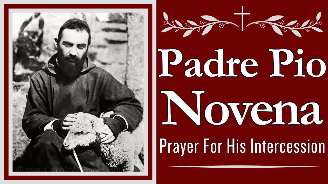 Novena To Padre Pio The Catholic Crusade