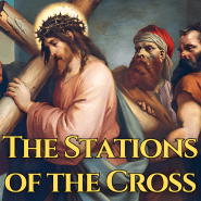 Psalm 51 Prayer Of Repentance The Catholic Crusade